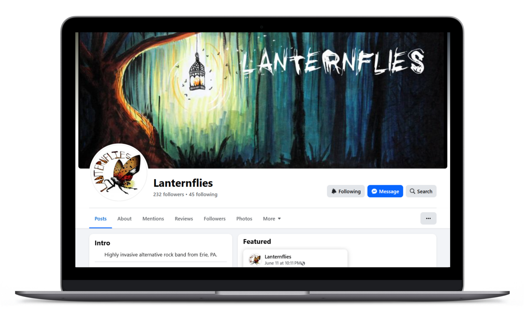 Lanternflies Facebook - desktop view