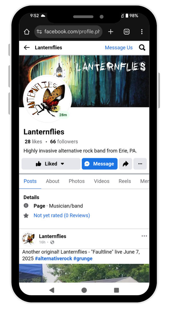 Lanternflies Facebook - mobile view