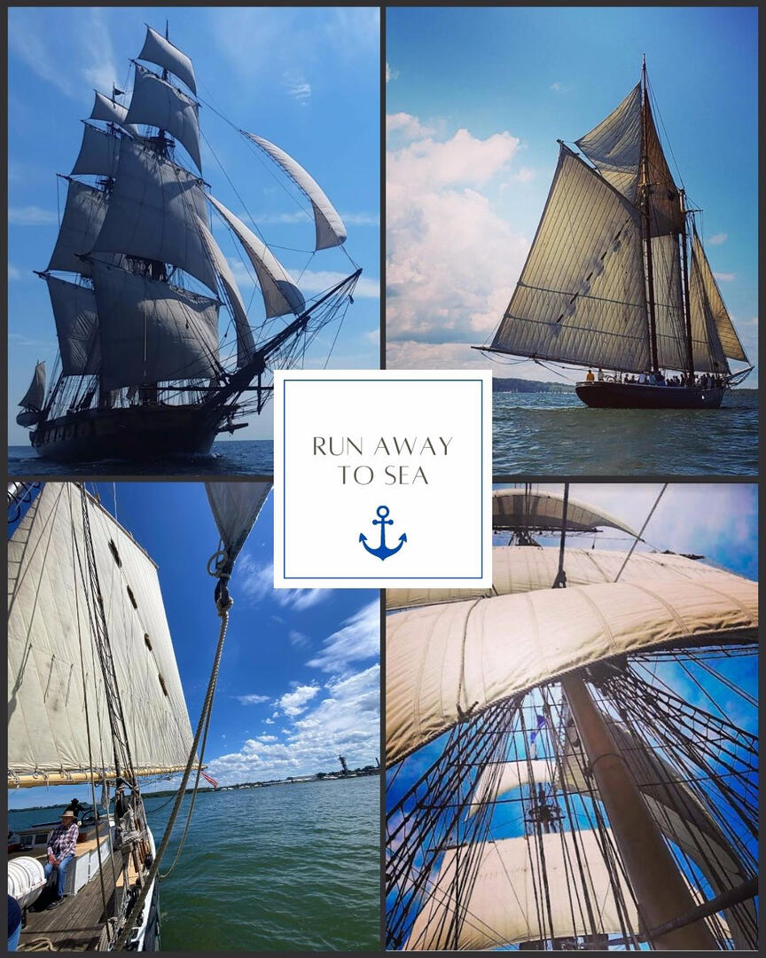 Voyage Program Promo 1