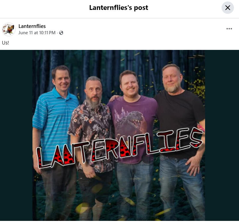 Lanternflies logo